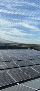East-west solar panel rows on a University of Kent flat roof, with campus trees beyond the bird netting